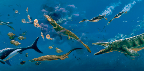 An example of some of the creatures found in the Western Interior Seaway. Source
