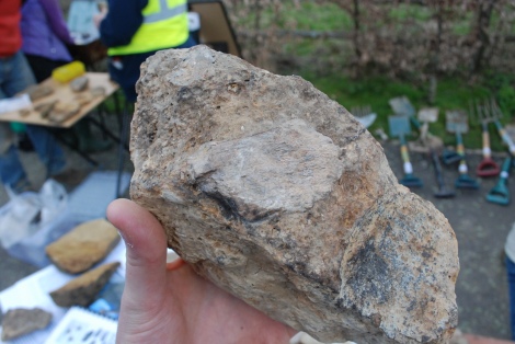 Large chunk of bone, most likely dinosaur in origin.